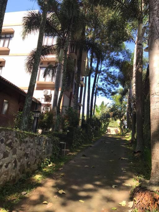 Villa Naumi Bandung Eksteriør billede